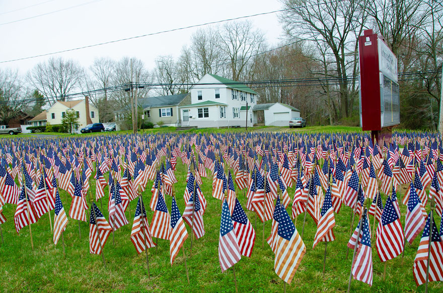 Patriotic American Flags on a Park Lawn Across from Houses on a Cloudy Day