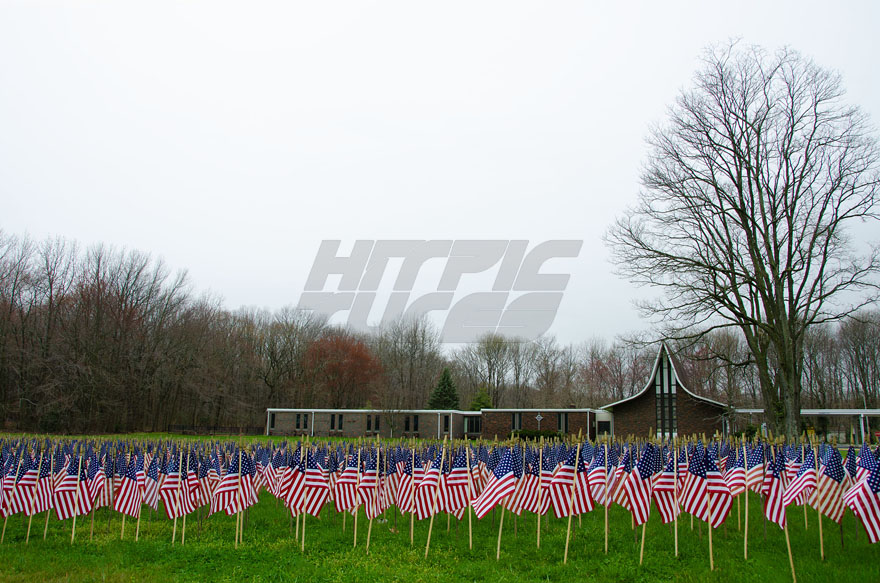 Rows of Patriotic American Flags on a Church Lawn with a Large Tree in the Background