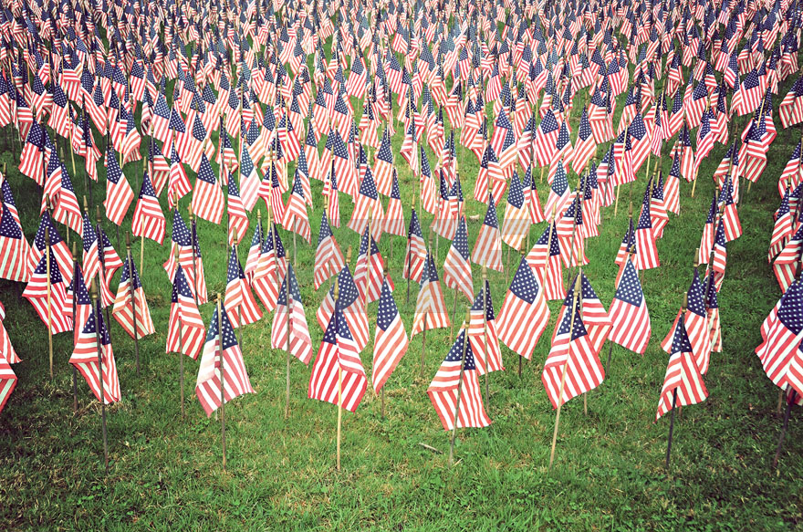 A Group of American Flags on a Lawn
