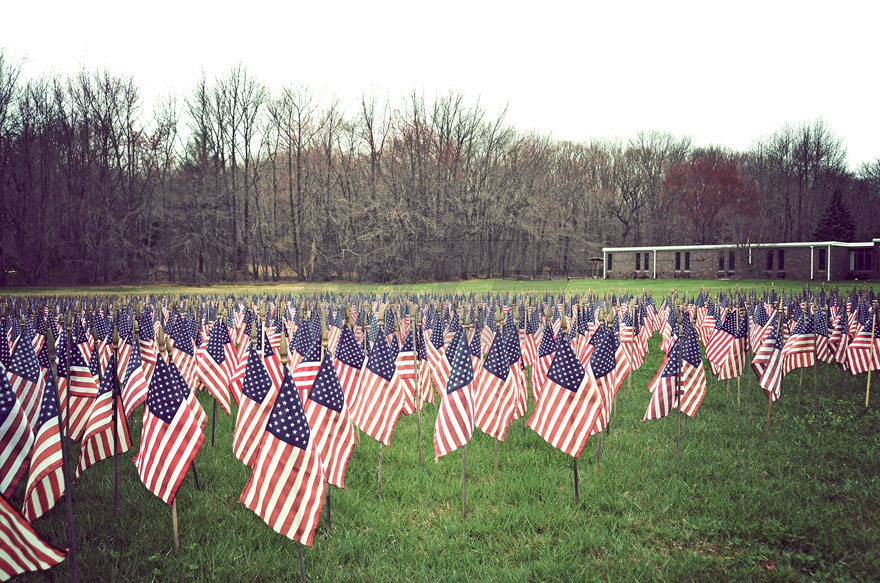 Group of American Flags on a Lawn with Trees and Building in Background