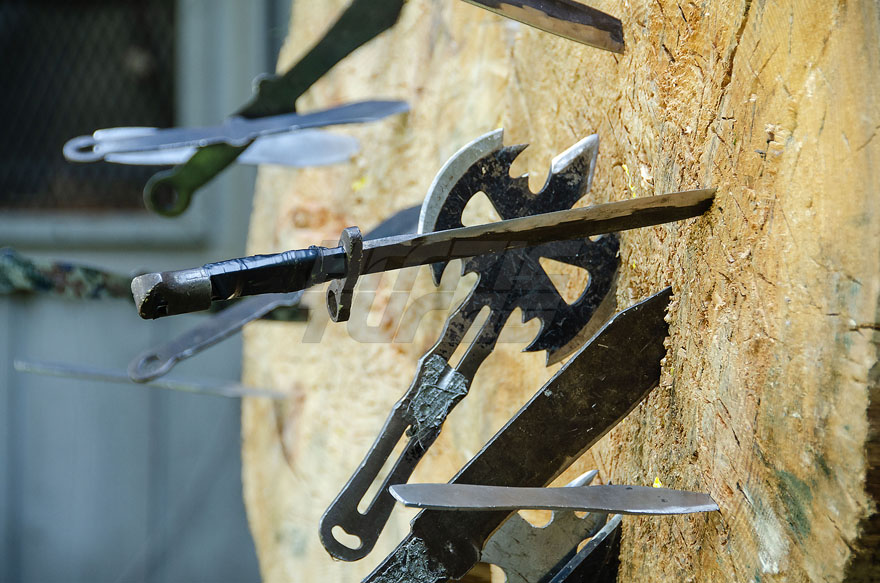 Tomahawks, Machetes and Knives Stuck in Tree Trunks Martial Arts Training Seminar