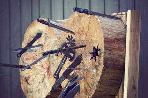 Shurikens, Hatchets, Machetes and Knives Embedded in a Wooden Target at a Martial Arts Seminar