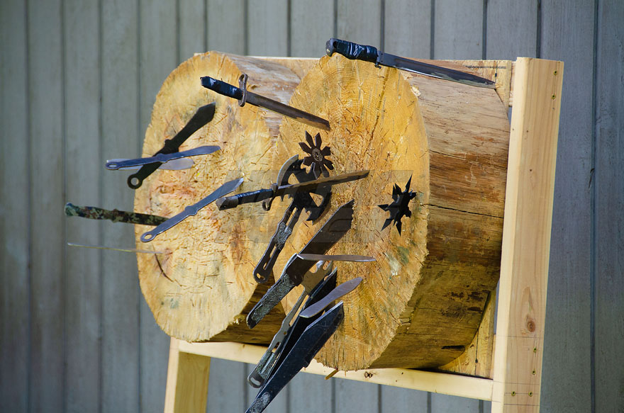 Shurikens, Hatchets, Machetes and Knives on Target at Martial Arts Training Seminar